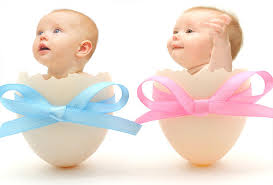 Tüp Bebekte Yumurta Toplama İşlemi (OPU) 